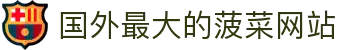 国外最大的菠菜网站 - (中国)七台河国外最大的菠菜网站发展有限公司欢迎您